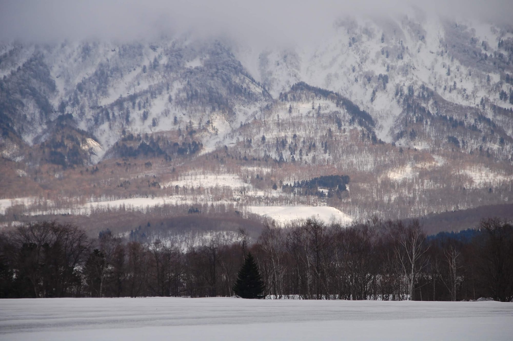 A wide mountain range in muted morning tones