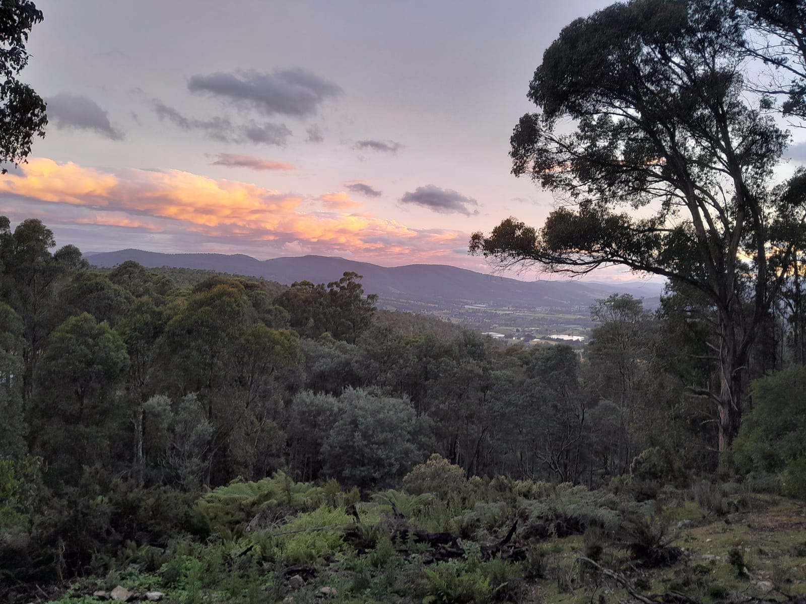 Tasmania — January 15, 2025