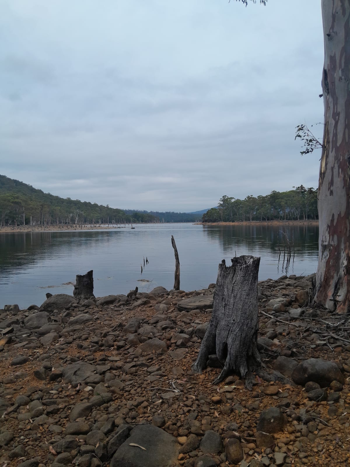 Tasmania — February 7, 2025