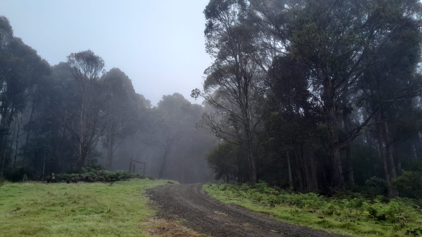 Tasmania — November 26, 2023
