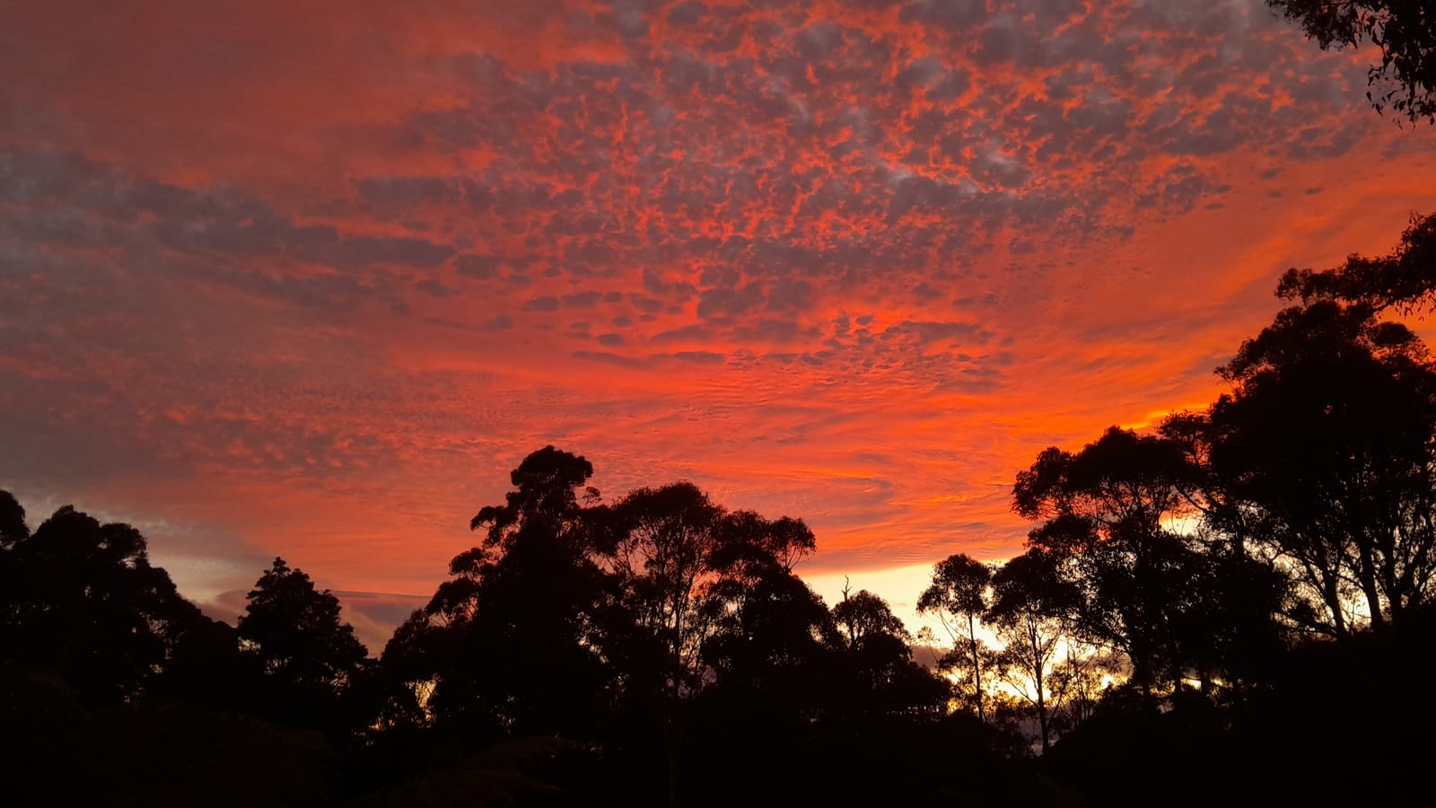 Tasmania — January 28, 2024