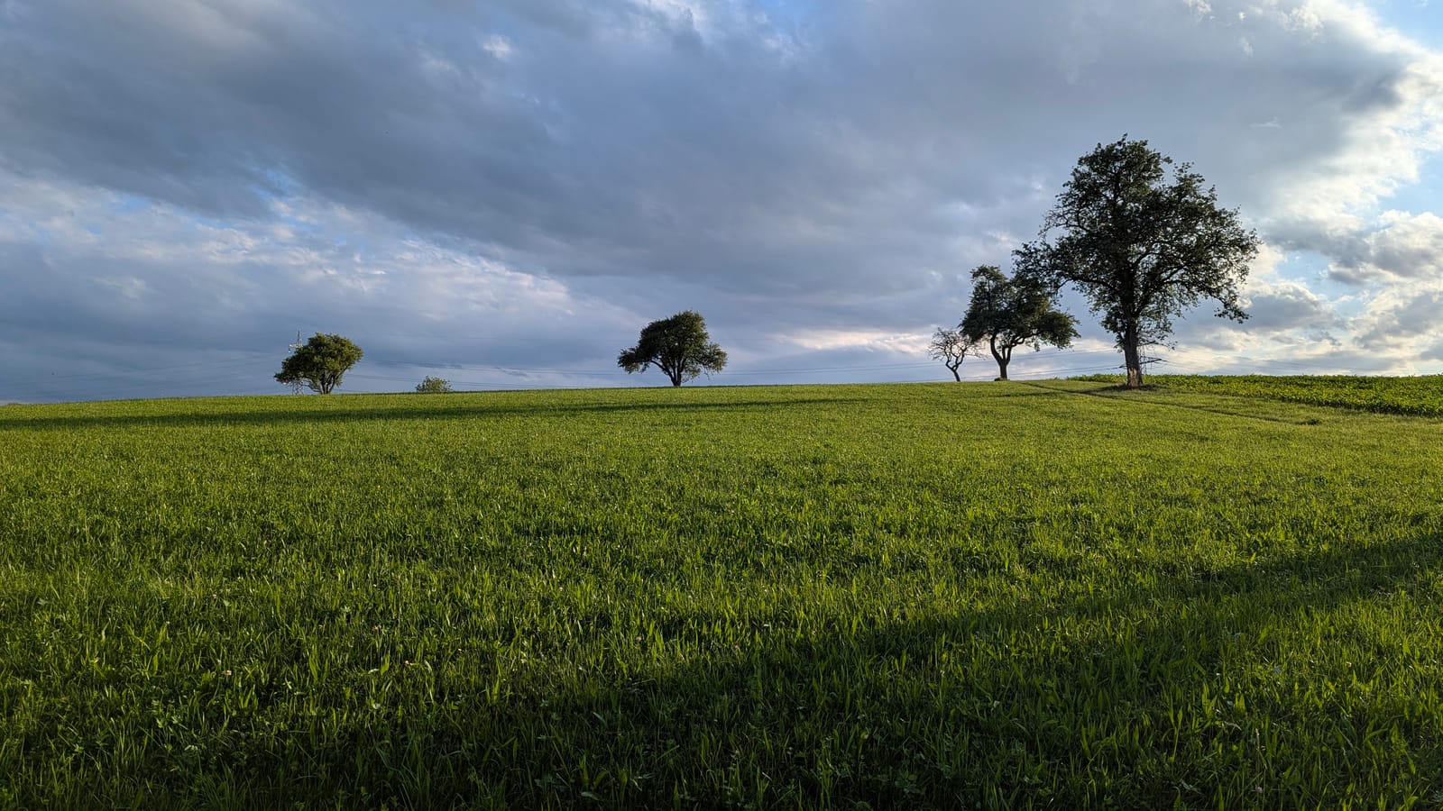 Austrian countryside — June 14, 2026