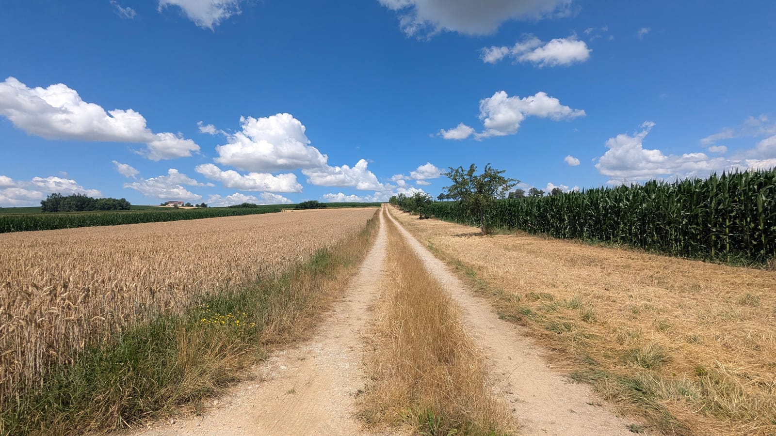 Austrian countryside — July 3, 2026