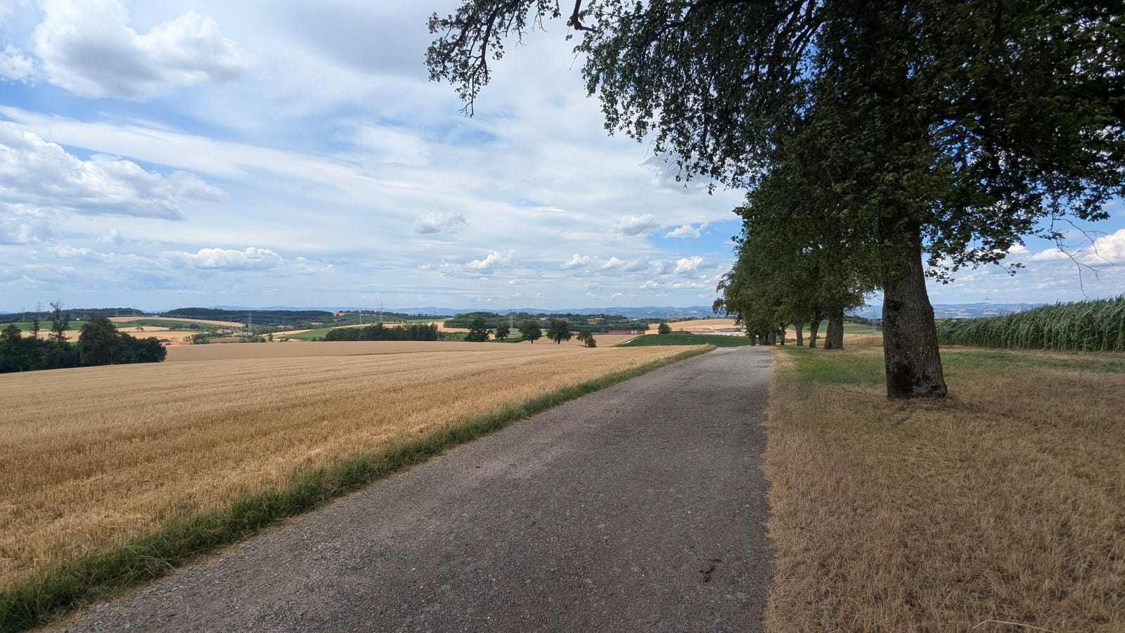 Austrian countryside — July 7, 2026