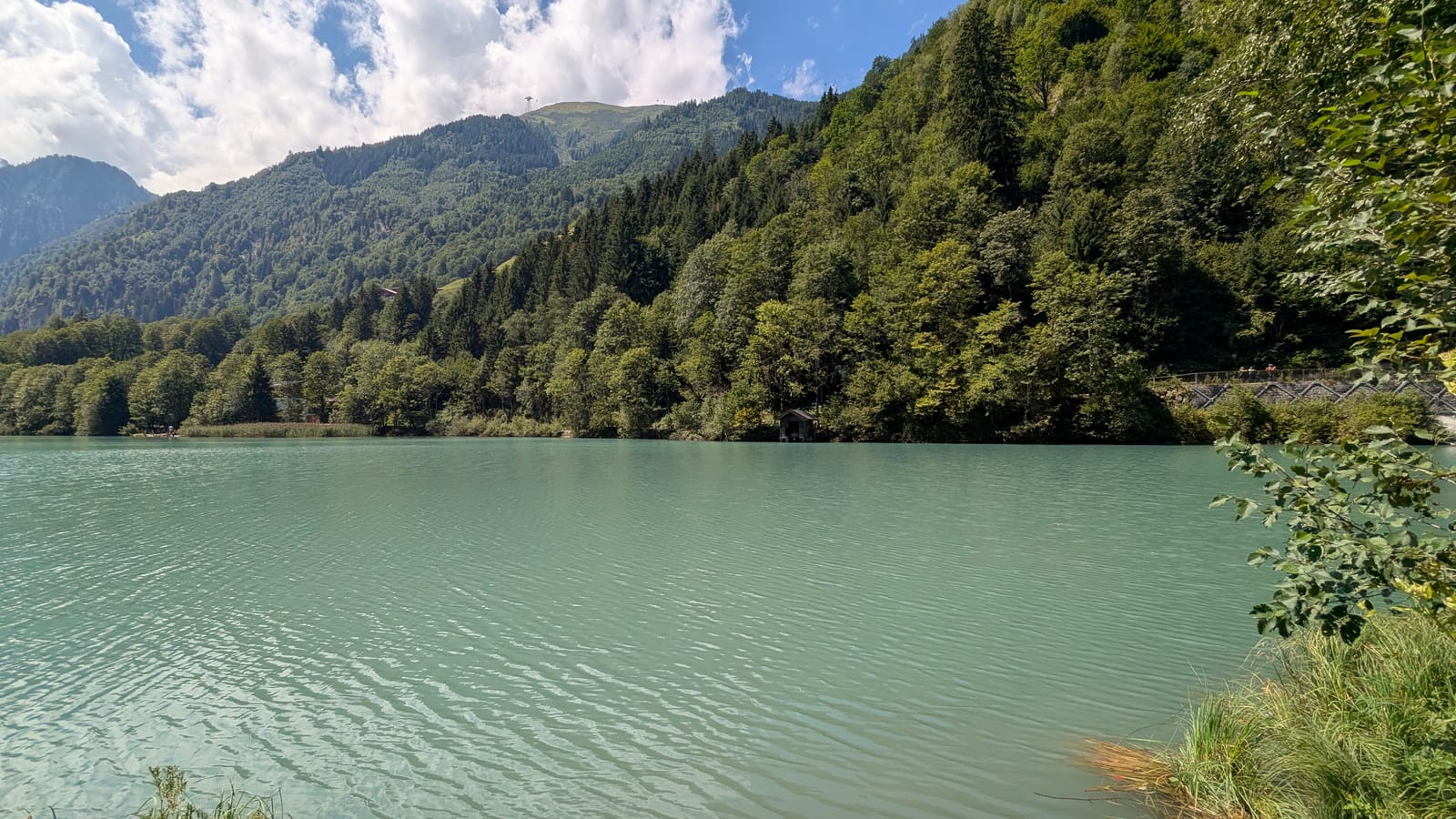 Austrian countryside — August 8, 2026