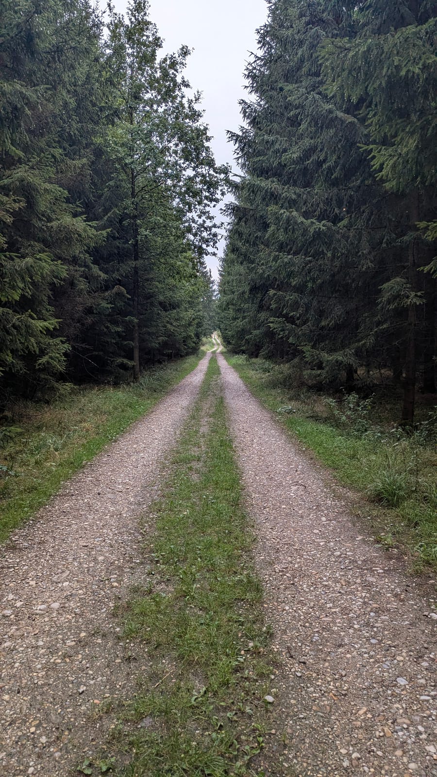 Austrian countryside — September 10, 2026